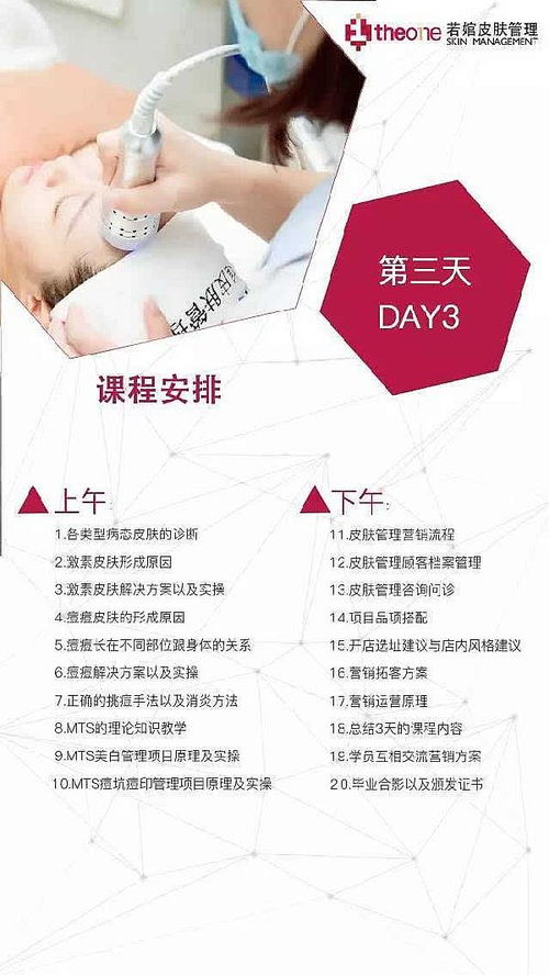 投資教育加盟店，如何慧眼識“真金”？——深度解析正規教育項目的辨識之道