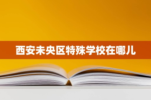 西安未央?yún)^(qū)特殊教育資源分布與教育項(xiàng)目投資方向探析